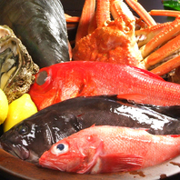 市場直送の新鮮な魚介類