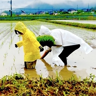 【居酒屋の店主本人が米作りプロジェクトを始動】