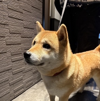 完全個室で愛犬と焼肉
