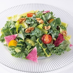 ケールと3種レタスの彩り野菜サラダ