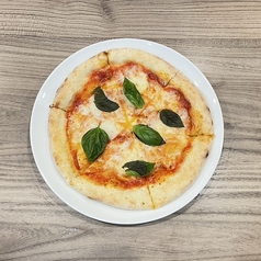 Maltese マルチーズの写真