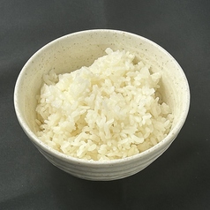ごはん