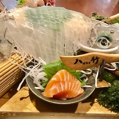 居酒屋 八竹特集写真1