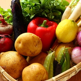 産地直送の新鮮な有機野菜を贅沢に使用しております。季節ごとに選び抜かれた旬の野菜は絶品★