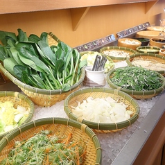 厳選野菜やうどんなどもビュッフェ形式で