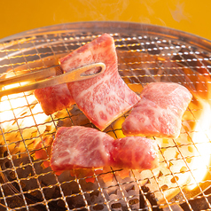 ホルモン BBQ やまびこ畜産 梅田店の特集写真