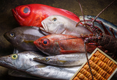 海鮮処 一 ichi
