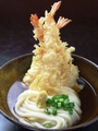 料理メニュー写真 海老天うどん