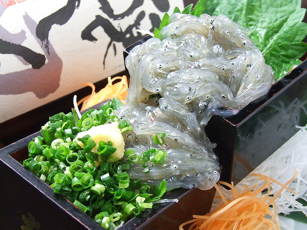 【生シラス特約店】契約シラス店から直送の為、いつでも安心してご提供できます◎