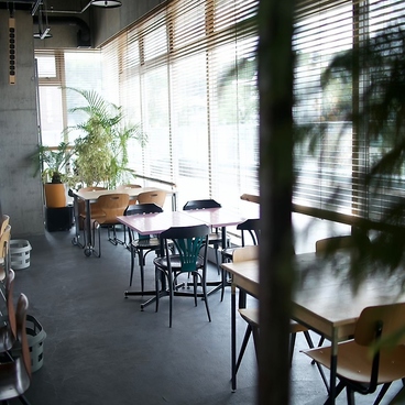 TT" a Little Knowledge Storeの雰囲気1