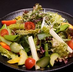 旬野菜の彩サラダ
