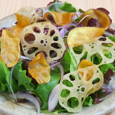 根菜チップの和風サラダ