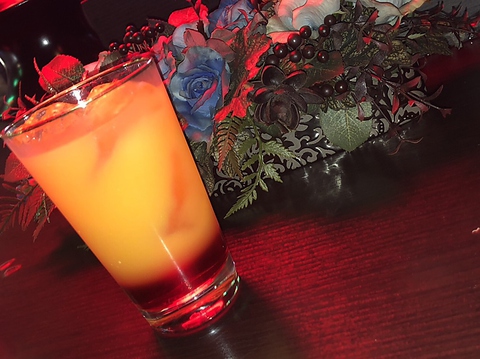 Shisha Bar KuuuNyaN V[Vo[N[j