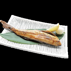ホッケ炙り焼き