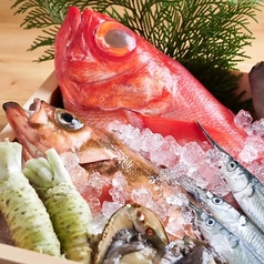 海乃鶏 名古屋駅前店特集写真1