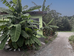 ブラジリアンBBQ Choupana Garden (ショウパーナ ガーデン）の雰囲気2