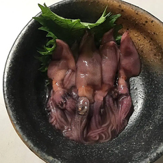 ホタルイカの沖漬け