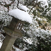 円山公園といえば桜の景色で有名ですが、雪景色もまた趣があり、静かな公園も格別です。