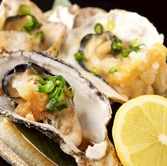 隠れ家居酒屋 羽柴(はしば) 岐阜駅玉宮店の特集写真