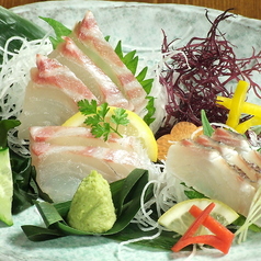 本日の白身魚