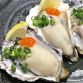 料理メニュー写真 【第１位】 新鮮！生牡蠣！食べ比べ！！
