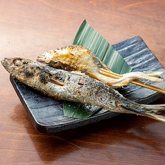 個室居酒屋 金魚 浜松駅店のコース写真