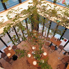 ITALIAN BAR Lava Lava ラバラバ 桜木町の特集写真