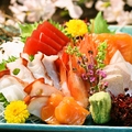 料理メニュー写真&nbsp;お造り盛り合わせ5点