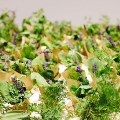 TSUBAKI食堂 横浜市庁舎ラクシスフロント店のおすすめポイント1