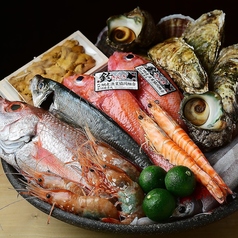 酒と魚 HARU 久屋大通店の特集写真