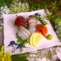 お造りや厳選素材の逸品もおすすめ！