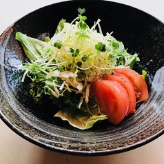 プレーン生野菜サラダ