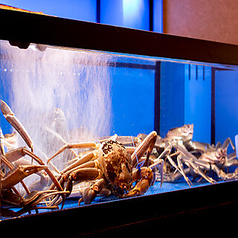 こだわりの厳選食材