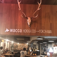 wacca from Hokkaido ワッカフロムホッカイドウの写真