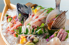 鮮魚と日本酒を贅沢に★ 超豪華!海鮮舟盛