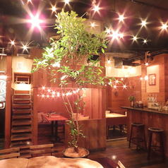the Light &nbsp;ライトの写真