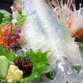料理メニュー写真&nbsp;限定品 活いかの踊り造り
