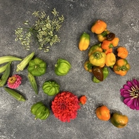 食材選びから生まれる、新たな料理の可能性