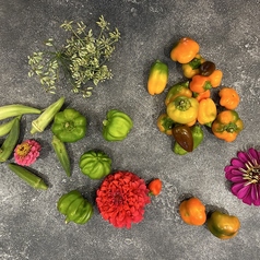 Noeud.×THE CHEF’S(ヌーシェフズ)の写真2