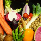 地物野菜にこだわり毎日新鮮な野菜を仕入れ