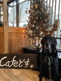 Cafeどすの詳細