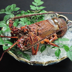 やまのべ本店創壽庵のコース写真