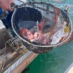 新大阪海鮮食堂 おーうえすとのおすすめ料理1