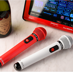 カラオケ みこれの雰囲気2