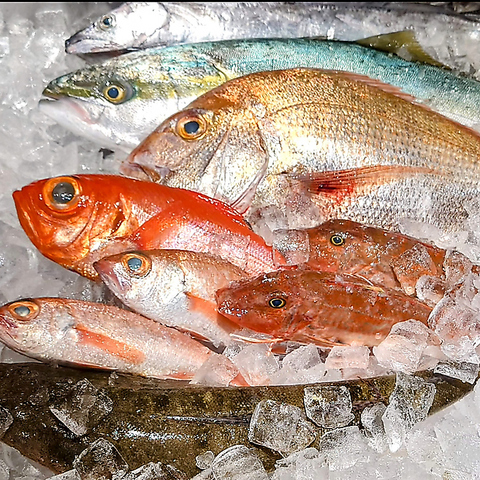 一枚板のカウンターと半個室テーブルが自慢。新橋の隠れ家でこだわり料理とお酒を堪能