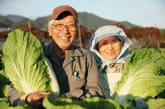 想い野菜農家さん