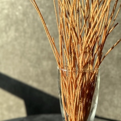 スティックパスタ