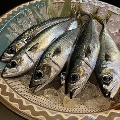 ぶん福茶がまの特集写真