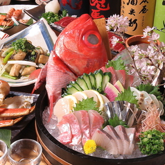 地鶏と魚と個室 ふじ子の特集写真