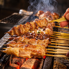 【備長炭使用】香ばしい絶品串と炭火焼鳥を堪能する逸品